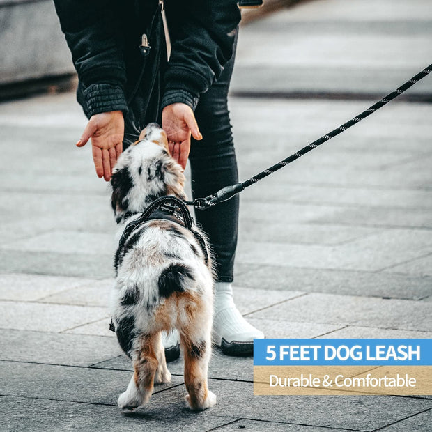 Basic Leashes, Collars, Dogs, Harnesses & Leashes, Leashes, Pet Supplies2/4/5/6 FT Dog Leash with Comfortable Padded Handle - Premium  from Nobles Store - Just $29.81! Shop now at Nobles Store
