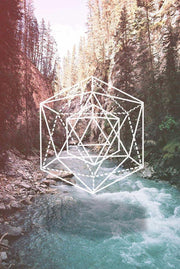 Clothing, Leggings, Shoes & Jewelry, WomenRiver Legging - Premium  from Nobles Store - Just $52.78! Shop now at Nobles Store