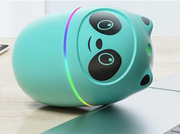 Cute Panda and Cat Humidifier 250ml - Premium  from Nobles Store - Just $25.12! Shop now at Nobles Store