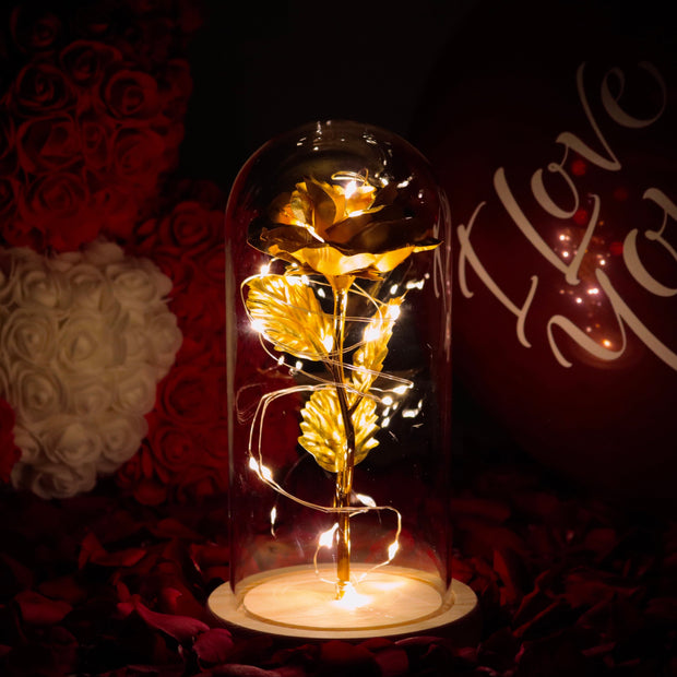 Gifts, Lamp, Night LightGalaxy Rose Eternal Lamp - Premium  from Nobles Store - Just $42.20! Shop now at Nobles Store