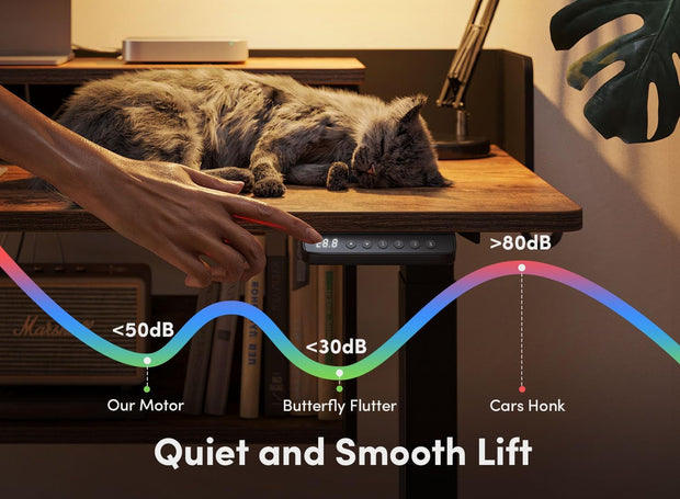 Furniture, Home & Kitchen, Home Office Desks, Home Office Furniture55" Electric Standing Desk with Shelves, 55 X 24 Inch Sit Stand Rising Desk with Monitor Stand - Premium  from Nobles Store - Just $369.21! Shop now at Nobles Store