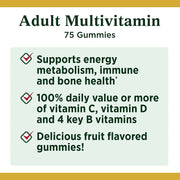 Health and Medicine, Multivitamins, Vitamins and Supplements, Women's MultivitaminsAdult Multivitamin Gummies 75 Each (Pack of 3) - Premium  from Nobles Store - Just $55.40! Shop now at Nobles Store