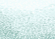 Clothing, Leggings, Shoes & Jewelry, WomenSalt Legging - Premium  from Nobles Store - Just $48.72! Shop now at Nobles Store