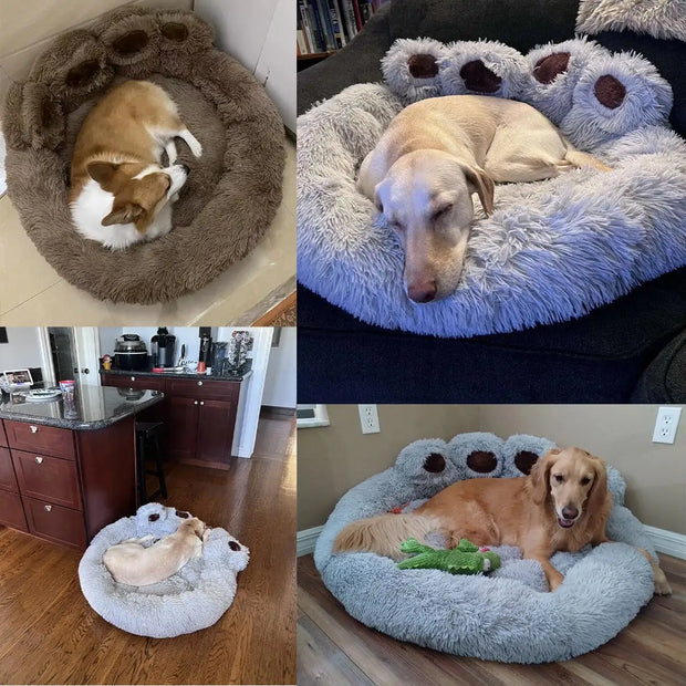 Bed, Dog, Pet, SofaPet Dog Sofa Beds - Premium  from Nobles Store - Just $75.41! Shop now at Nobles Store